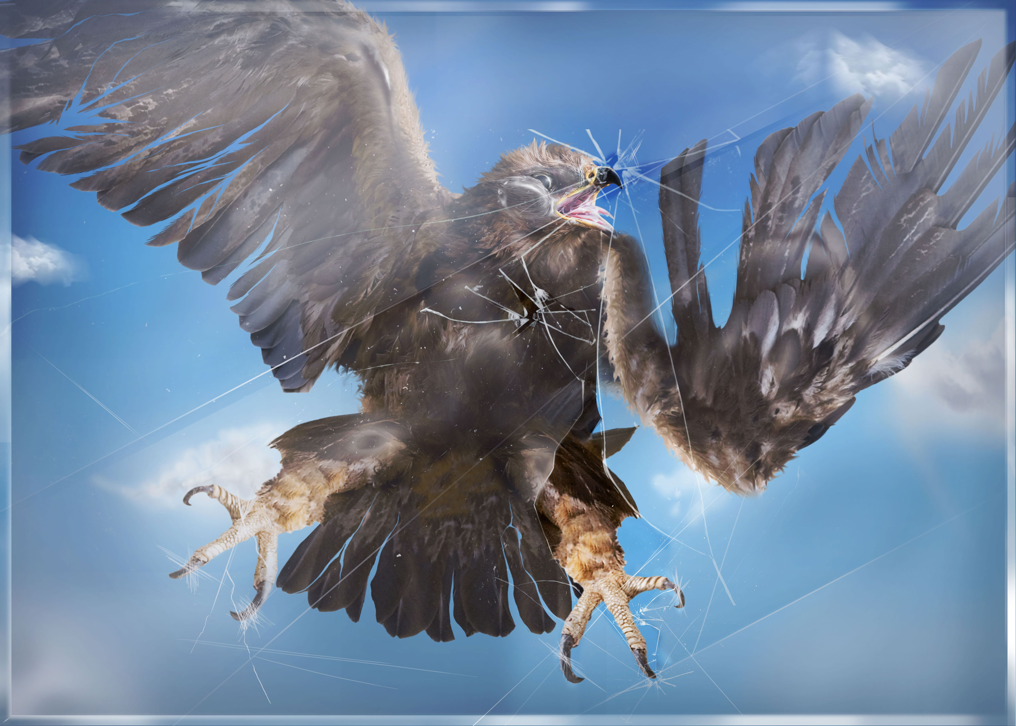 Eagle crash — shattered glass